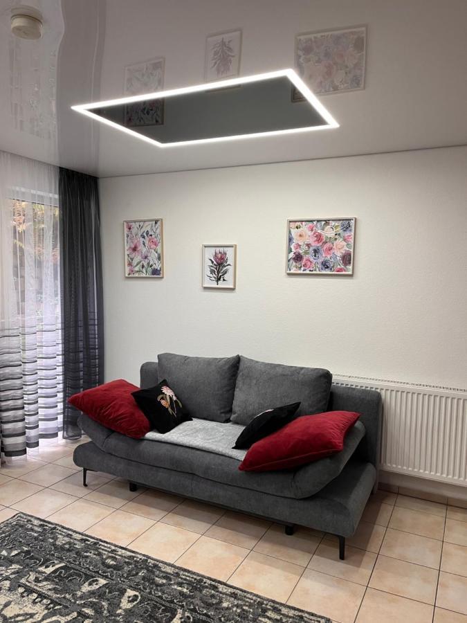 A&D Charmantes Apartment - Buehlertal Bei Buehl, Baden-Baden & Schwarzwald Zewnętrze zdjęcie